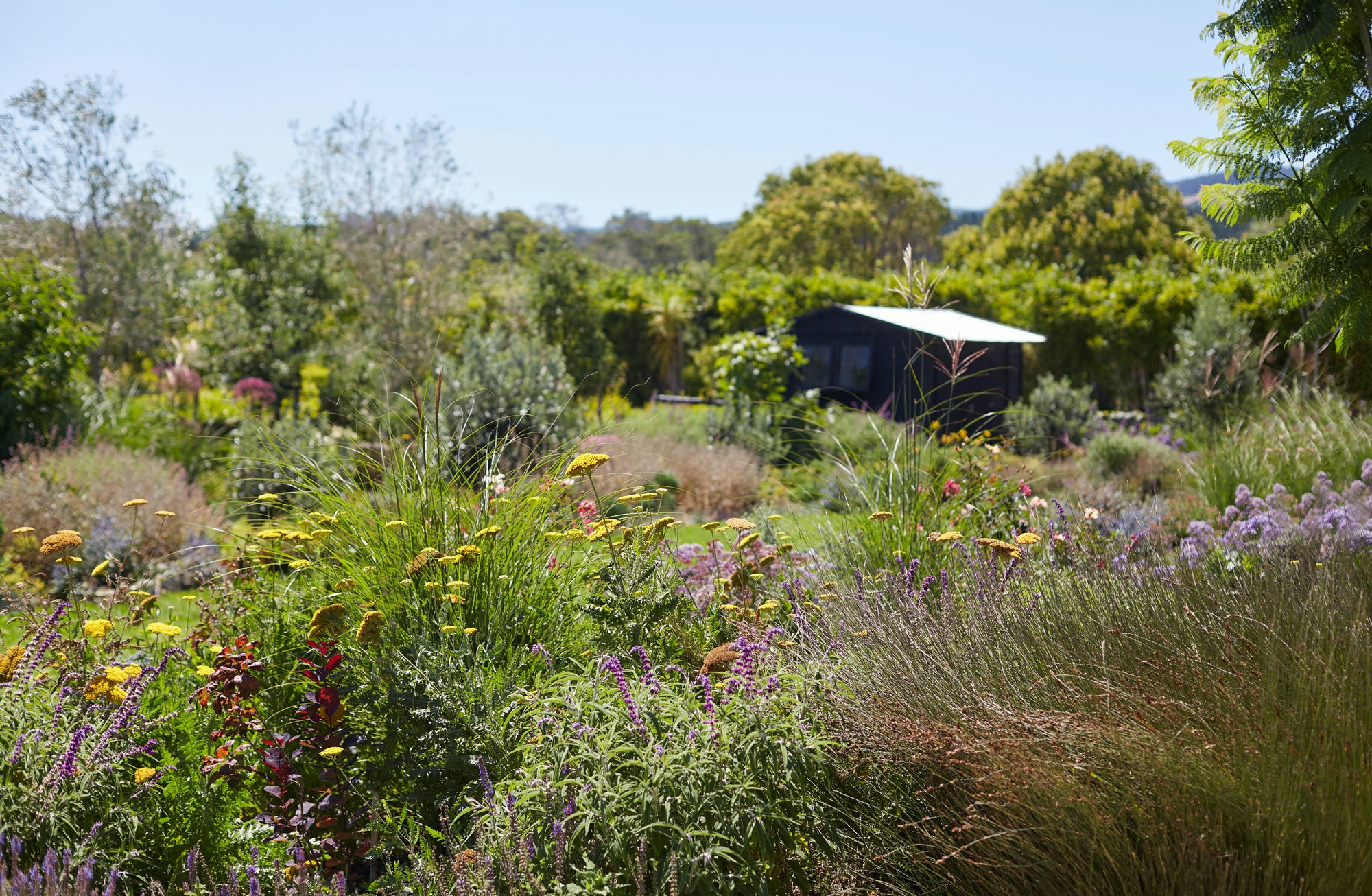N Woo XWD Gardens Summer2021 0515 web