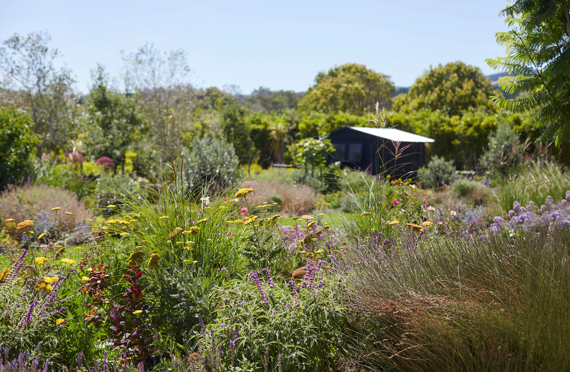 N Woo XWD Gardens Summer2021 0515 web