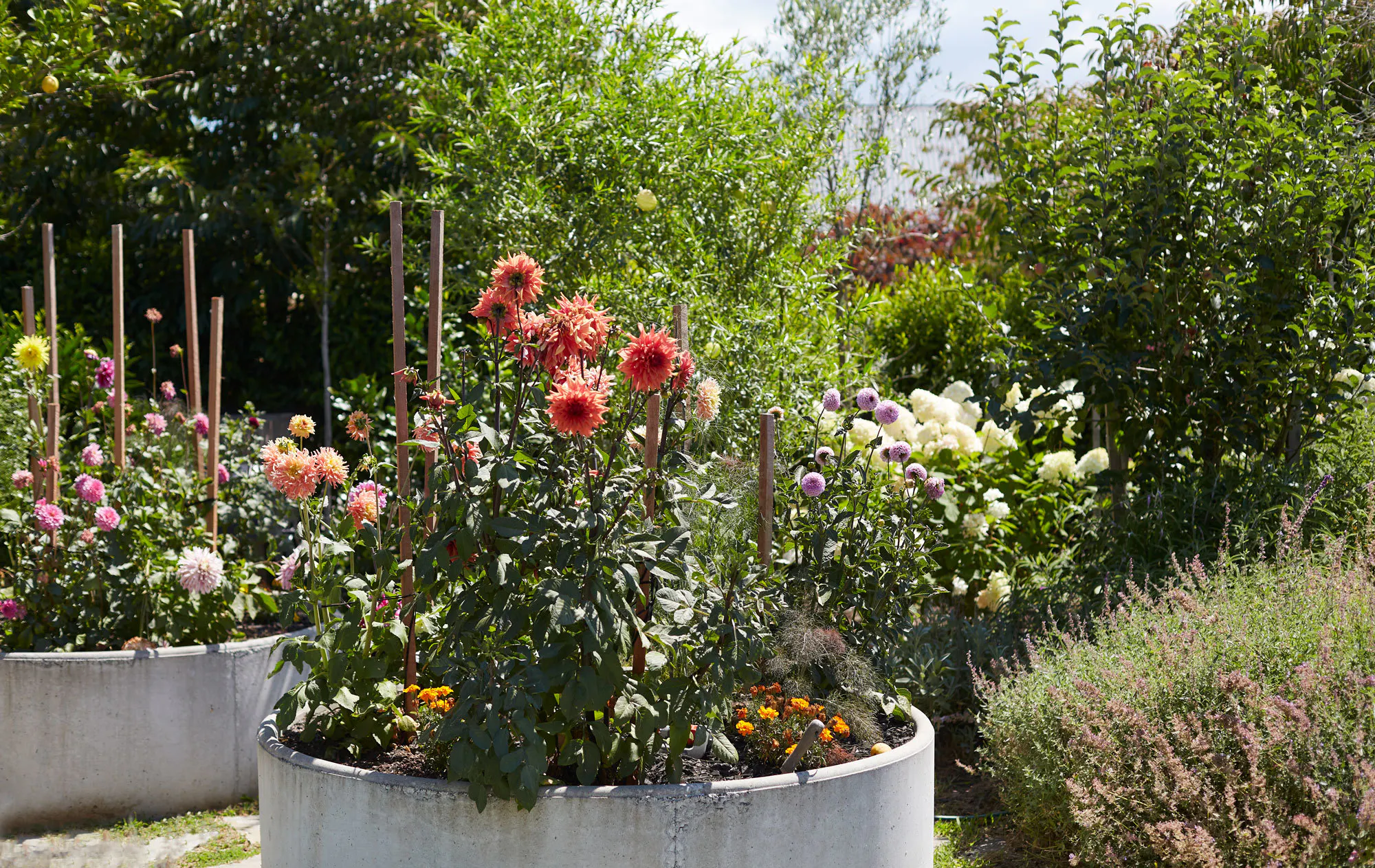 N Woo XWD Gardens Summer2021 0517 web