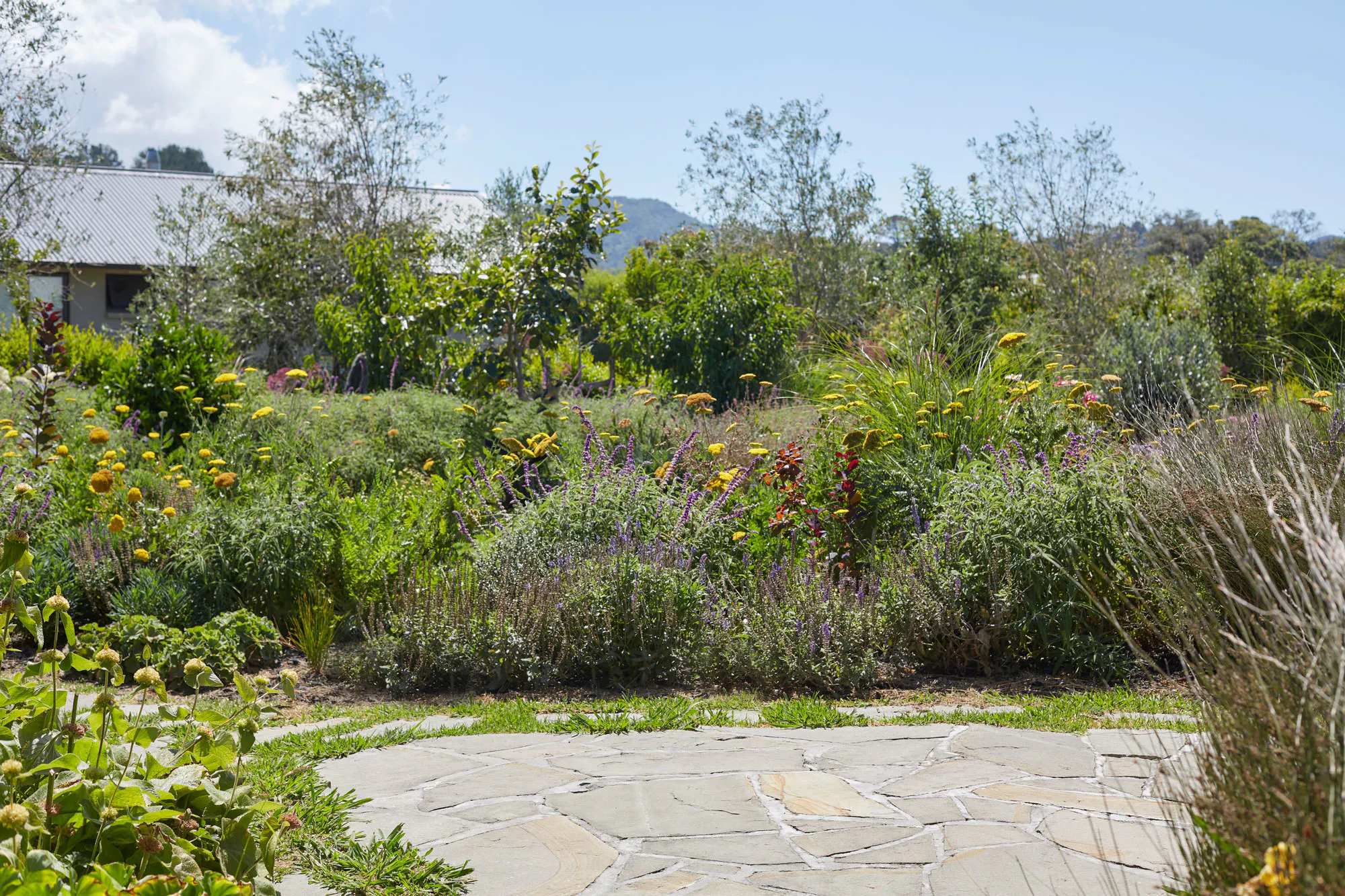 N Woo XWD Gardens Summer2021 0539 web