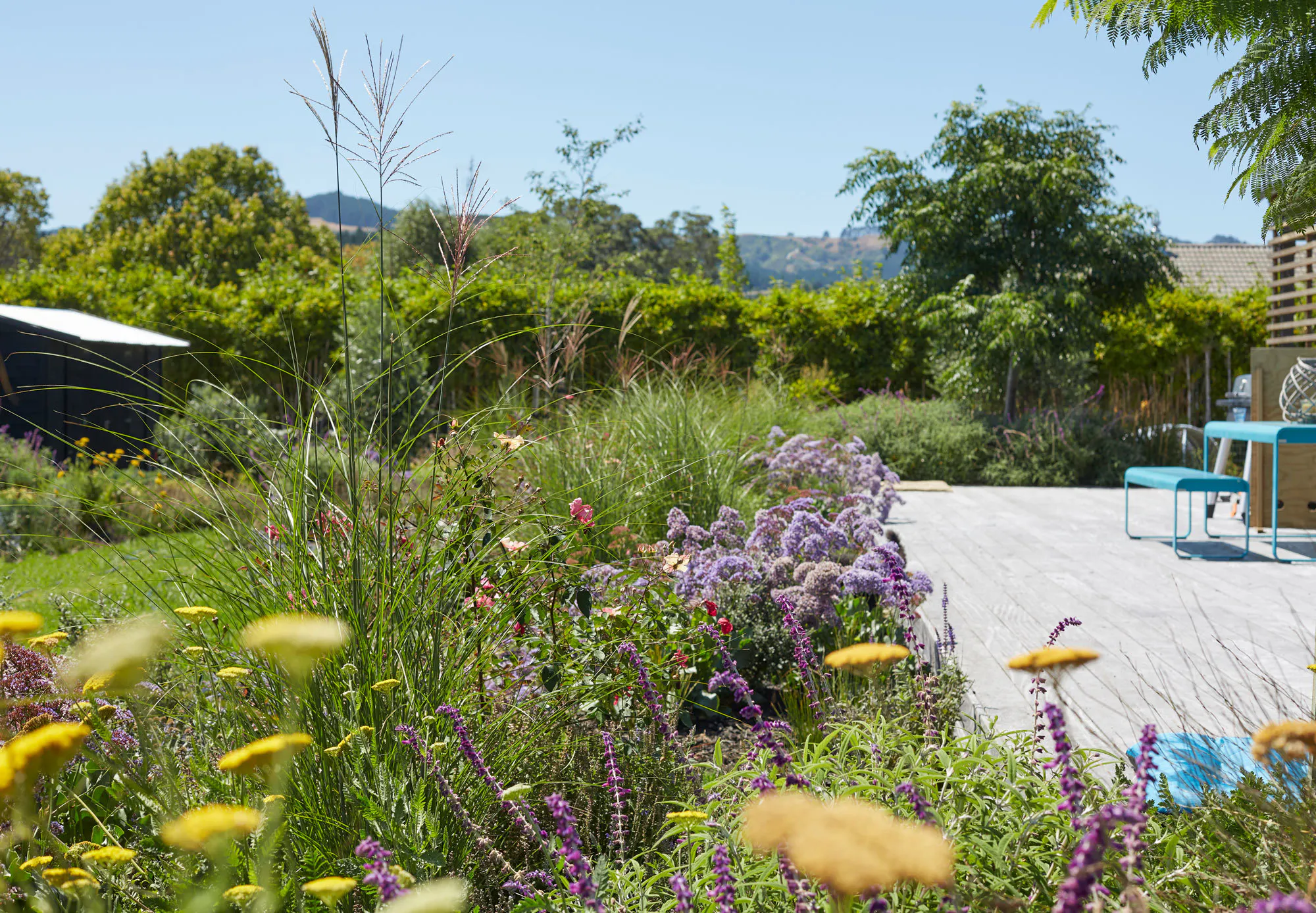 N Woo XWD Gardens Summer2021 0549 web