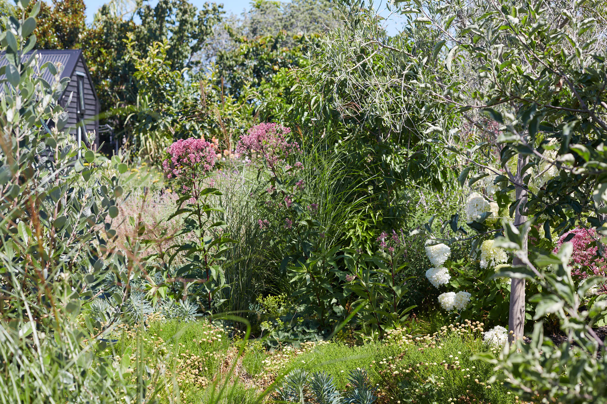 N Woo XWD Gardens Summer2021 0596 web