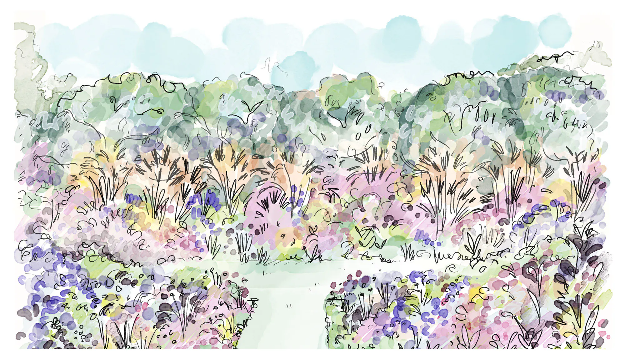 Pt Wells lawn sketch