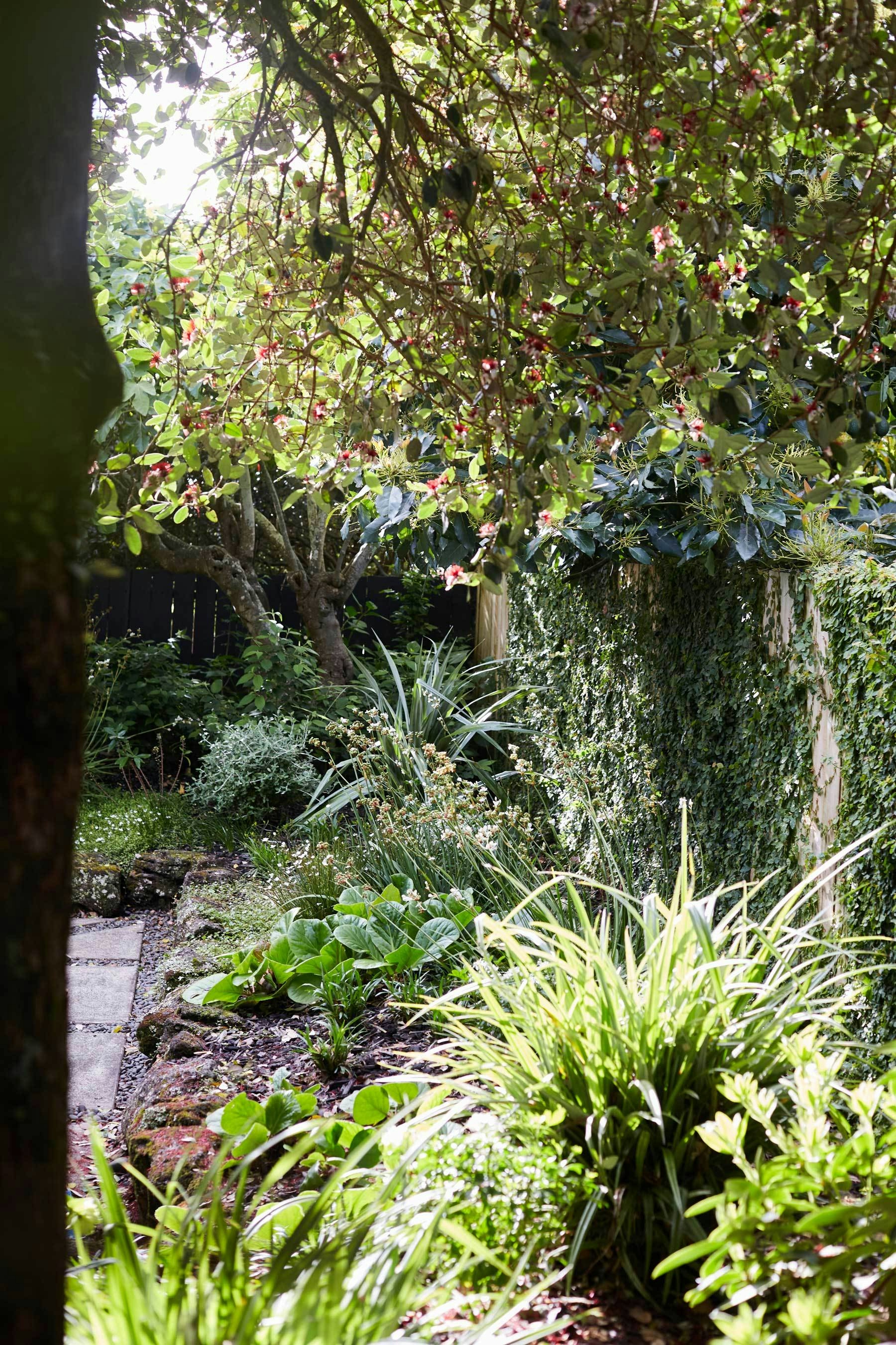 N Woo Heather Garden 6 Nov20 0327web