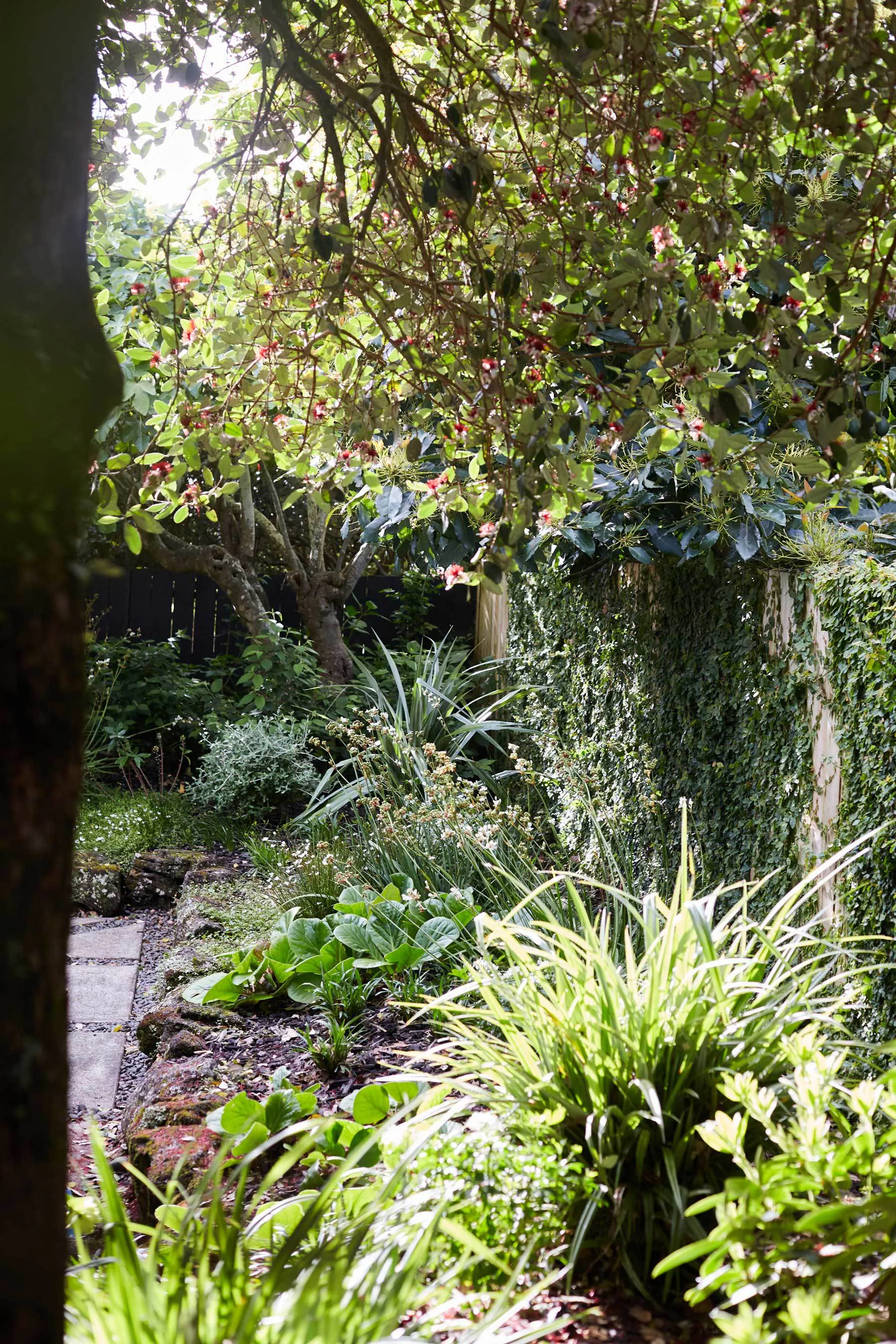 N Woo Heather Garden 6 Nov20 0327web