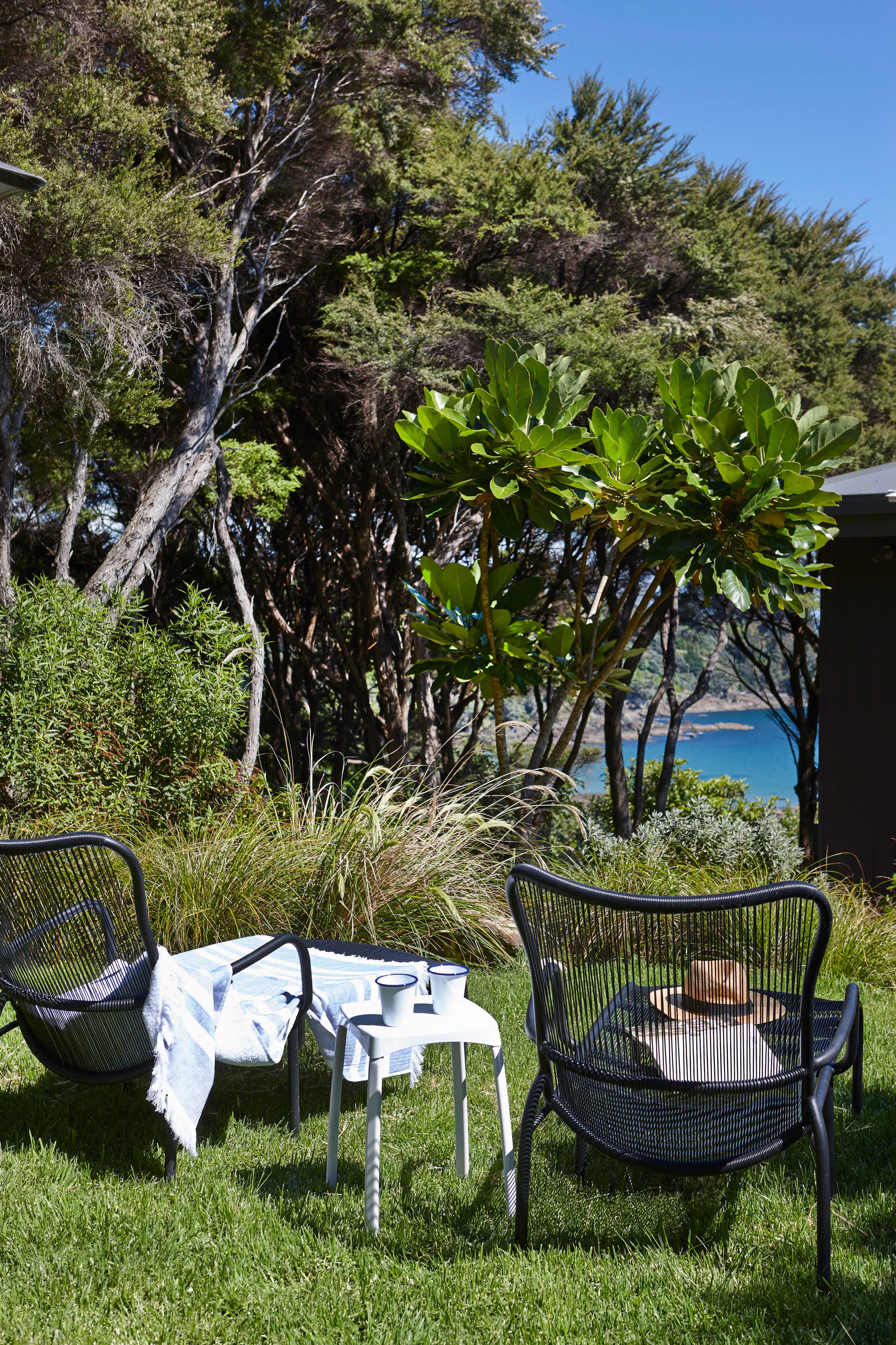 1711 Jackie Meiring Photo Waiheke Douglas 070x web