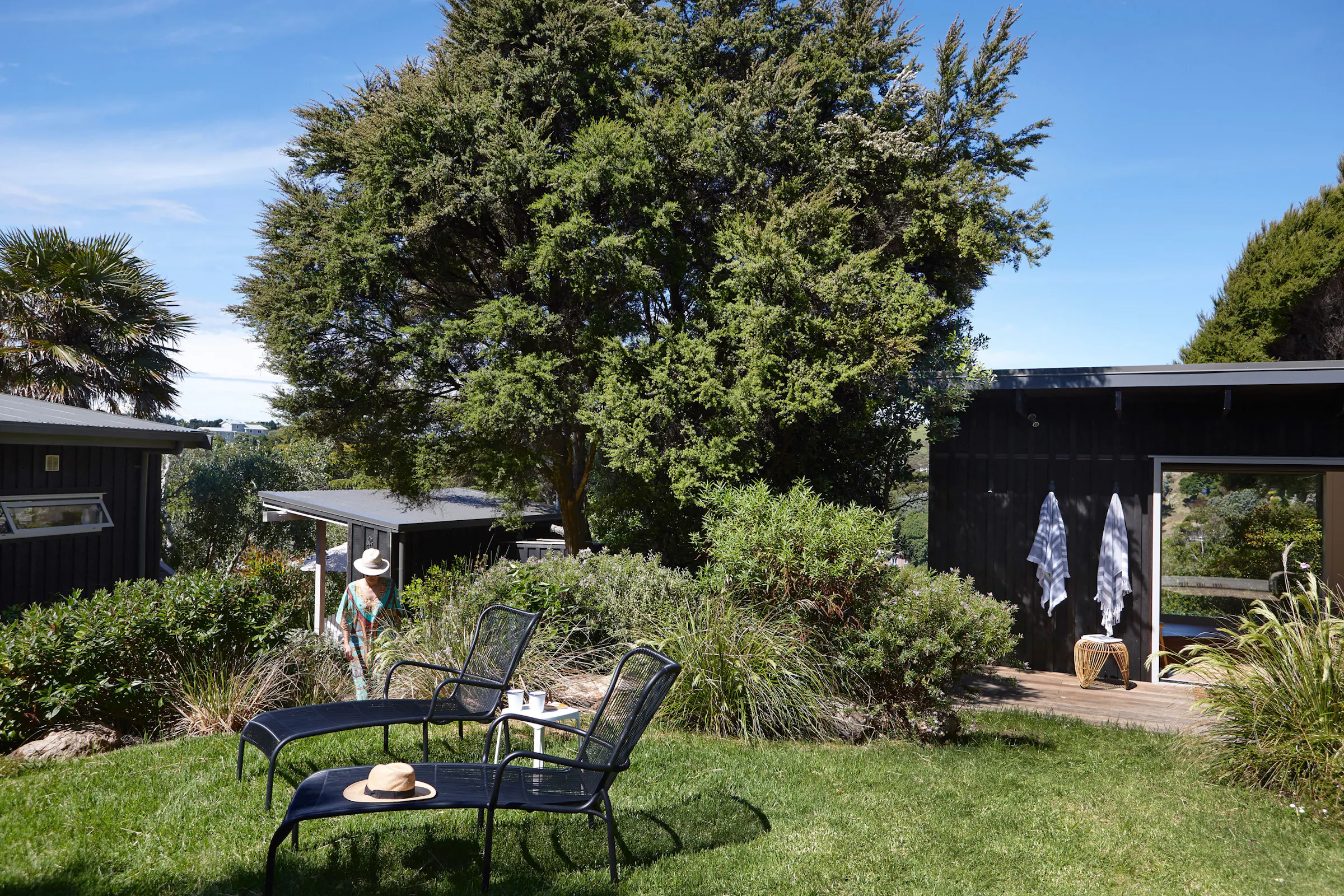 1711 Jackie Meiring Photo Waiheke Douglas 376x web