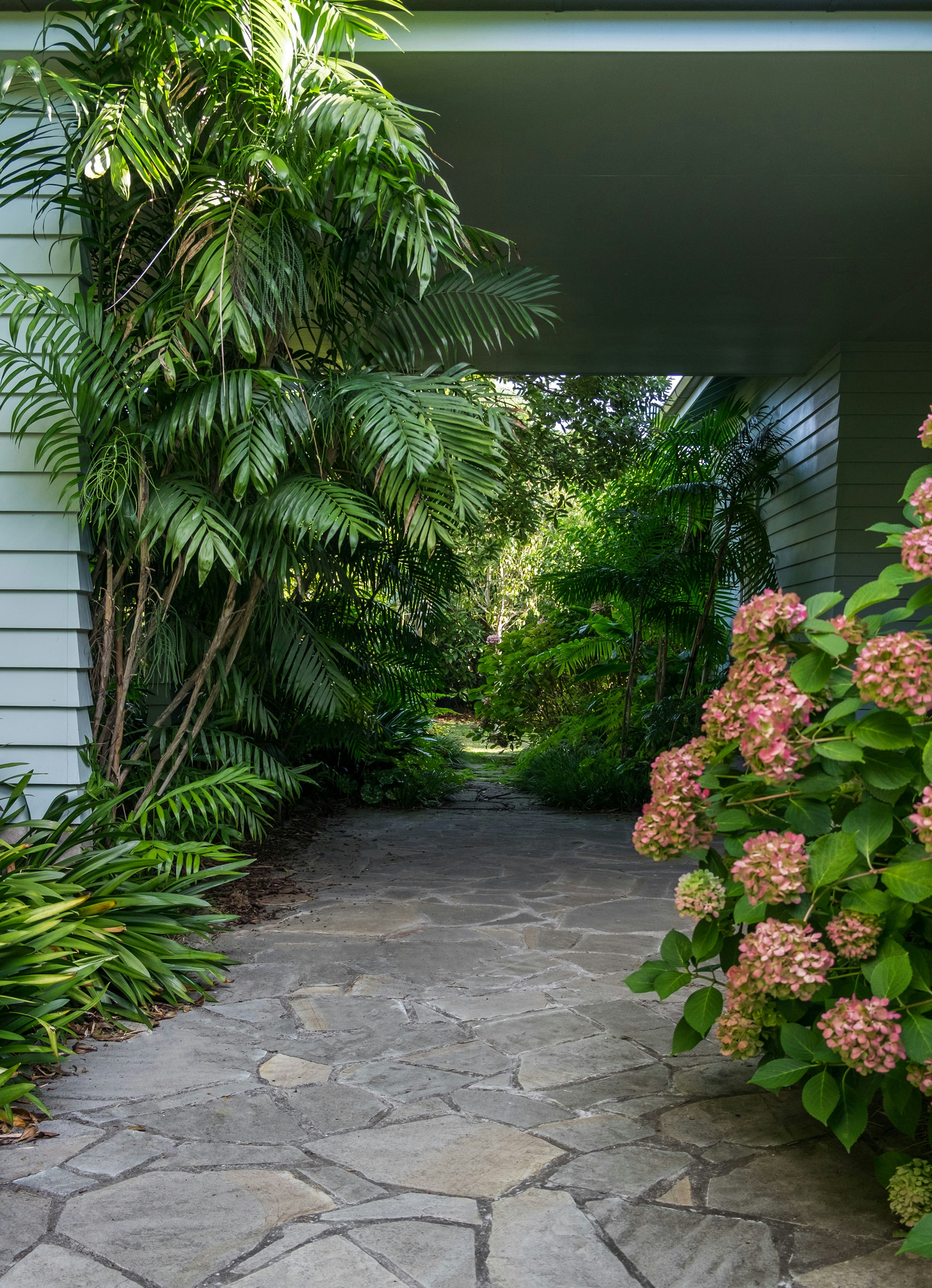 XWD Maungawhau Entrance 5 web